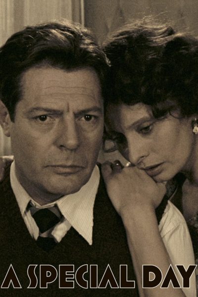 A Special Day-poster