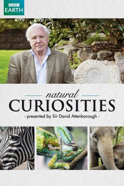 David Attenborough&rsquo;s Natural Curiosities-poster