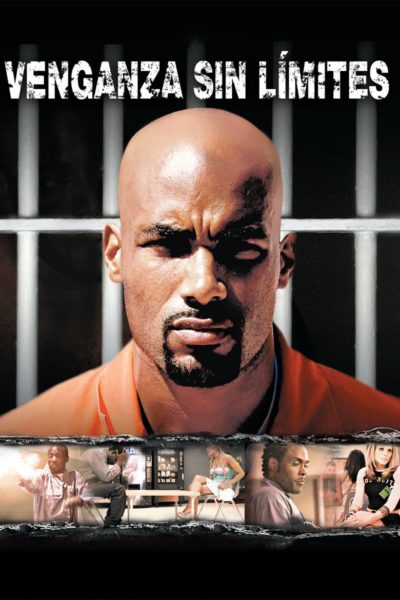 Doing Hard Time-poster