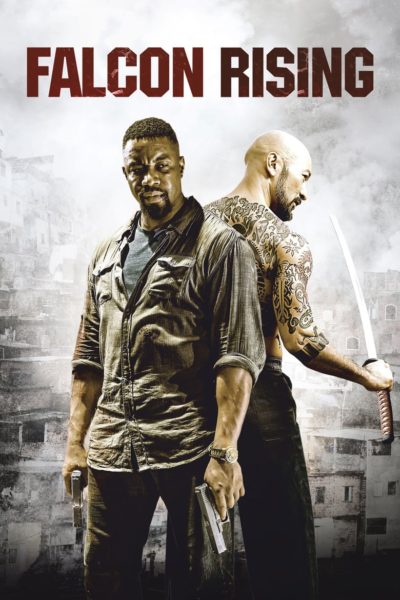 Falcon Rising-poster
