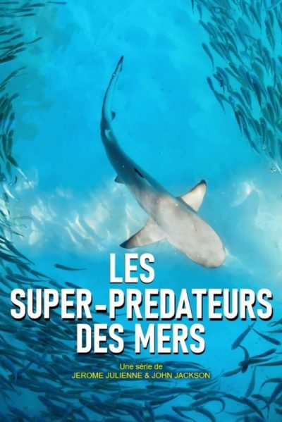 Les super-prédateurs des mers-poster