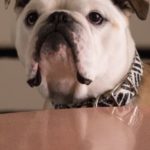 Nellie