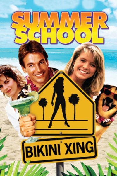 Summer School-poster