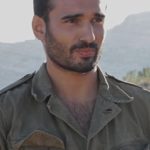 Syrus Shahidi